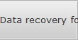 Data recovery for North New Orleans data